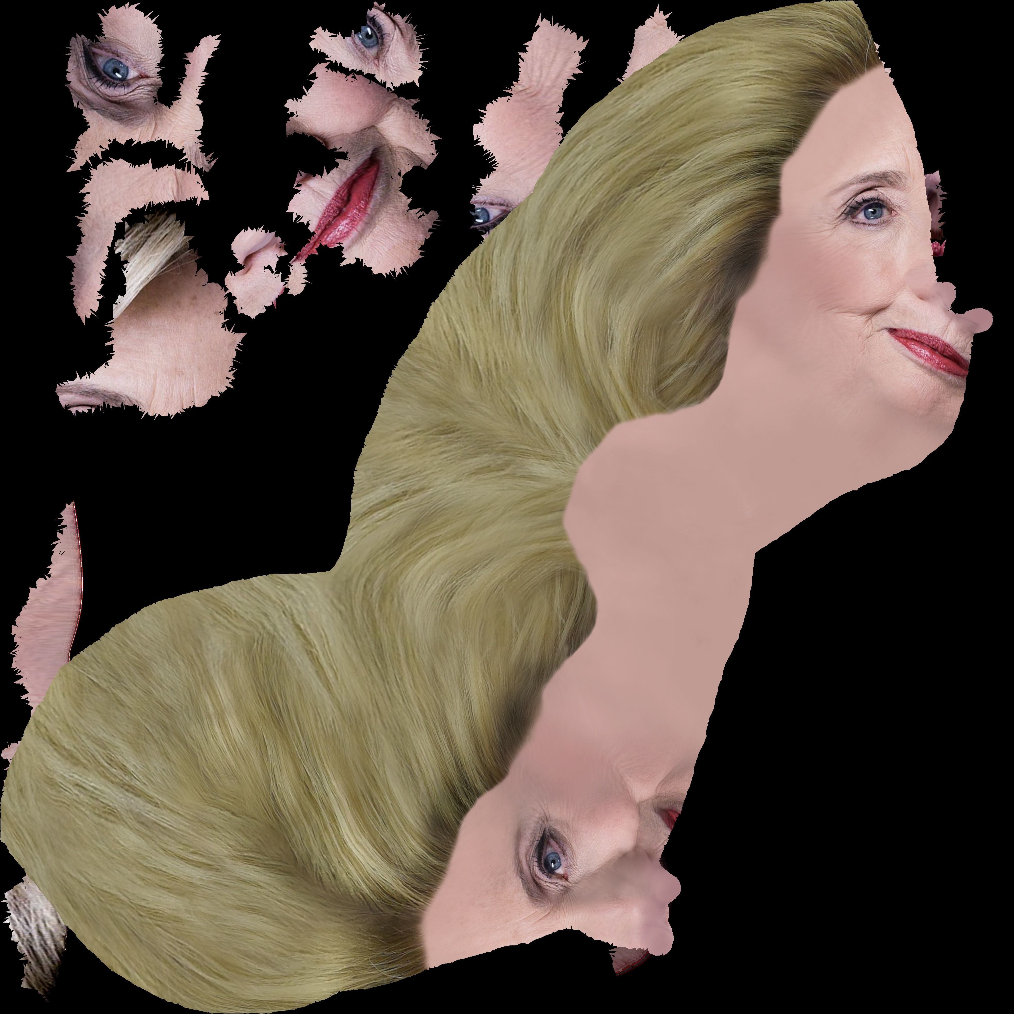 Hillary Clinton 3D model_48