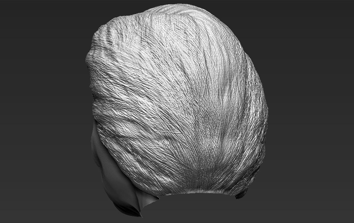 Hillary Clinton 3D model_27