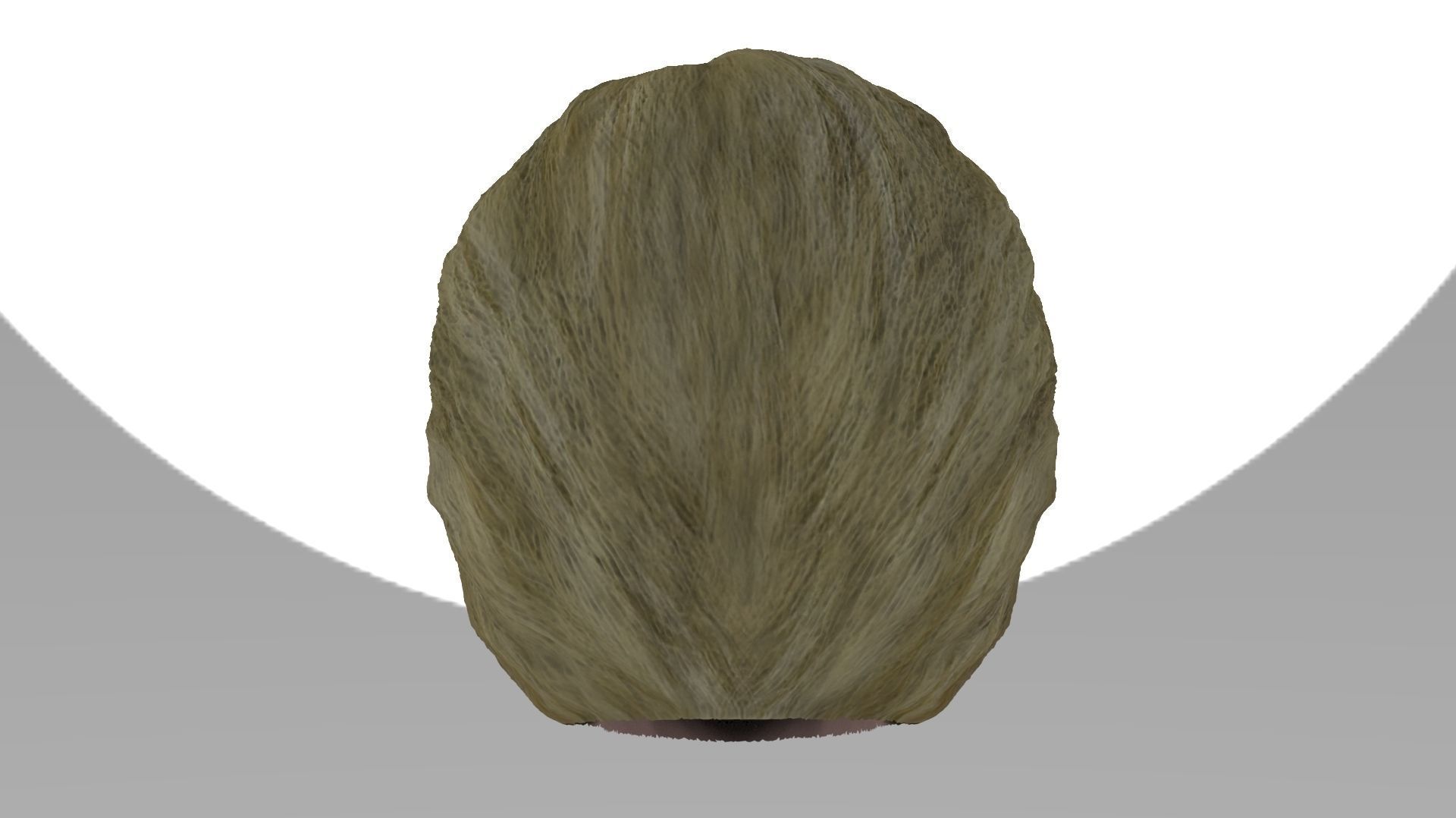 Hillary Clinton 3D model_8