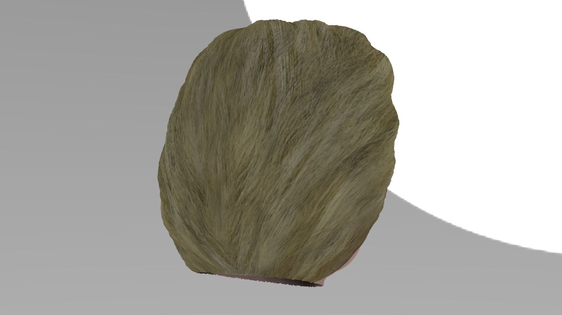 Hillary Clinton 3D model_9