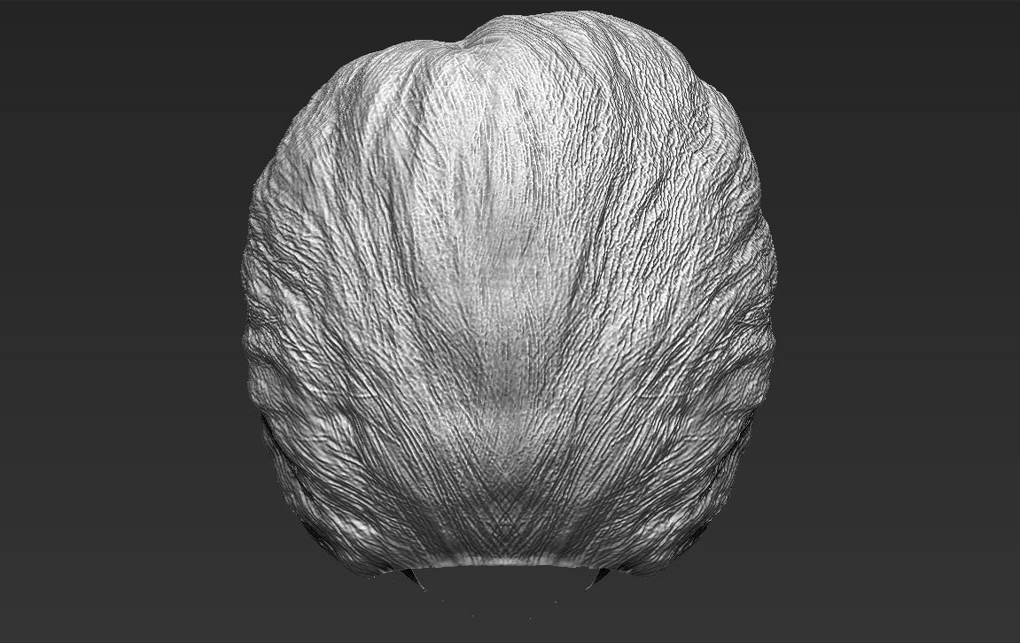 Hillary Clinton 3D model_30