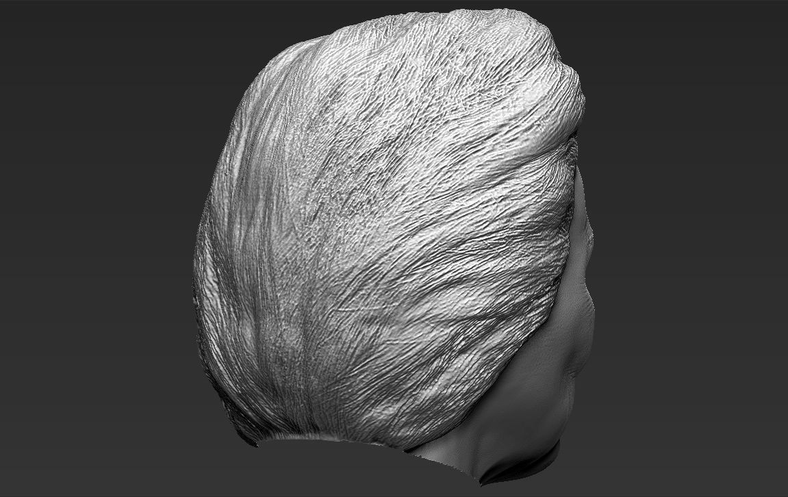 Hillary Clinton 3D model_32
