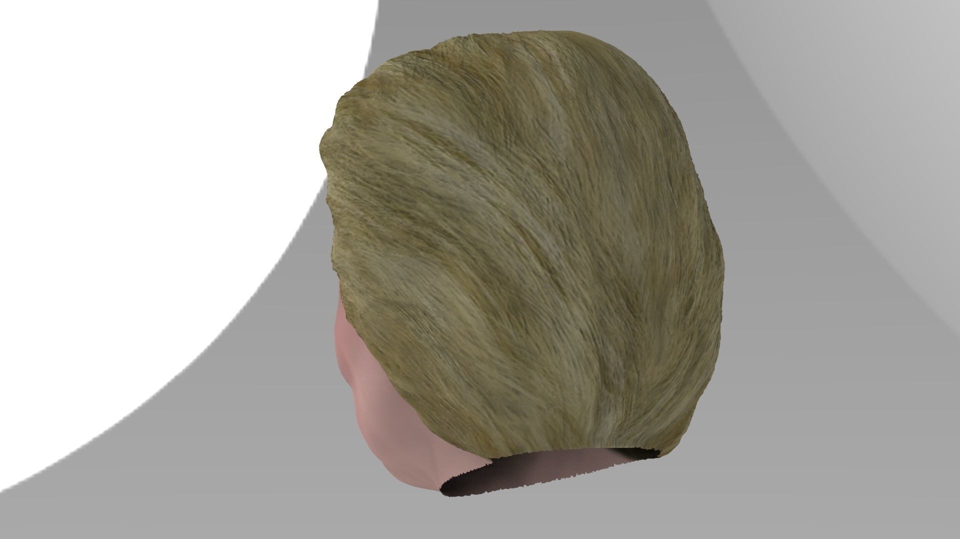 Hillary Clinton 3D model_5