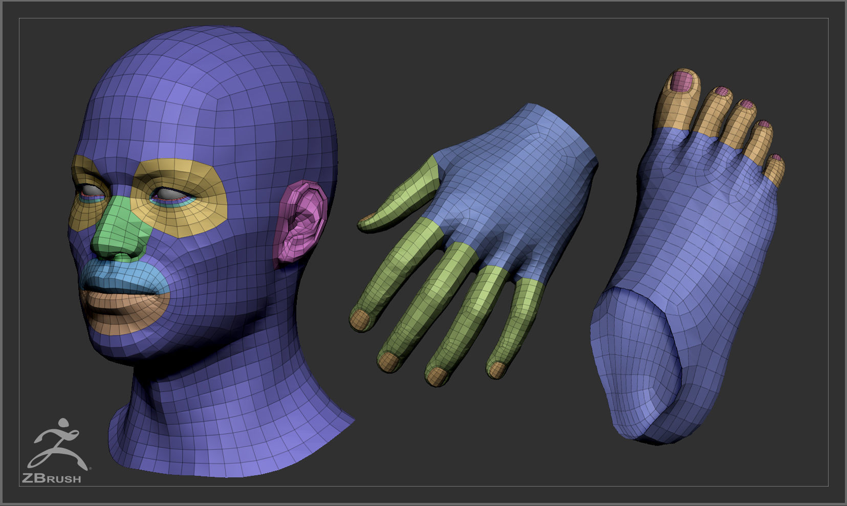 Average Asian Male Body Basemesh 3D model_10