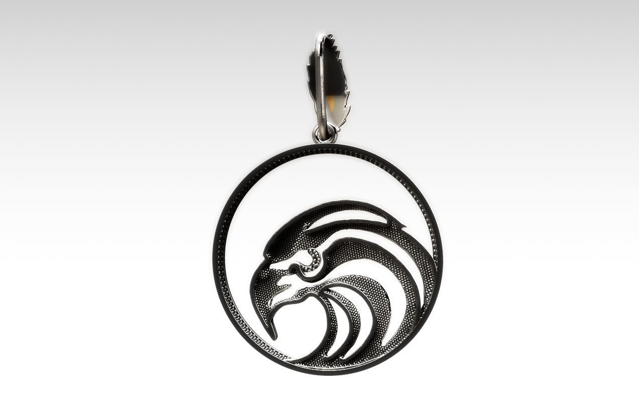 The falcon eye 3D print model_4