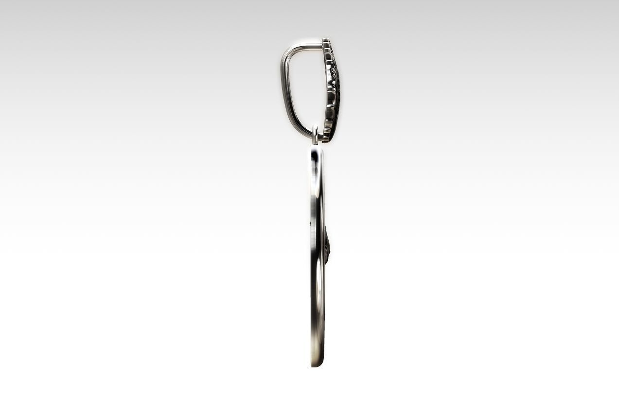 The falcon eye 3D print model_3