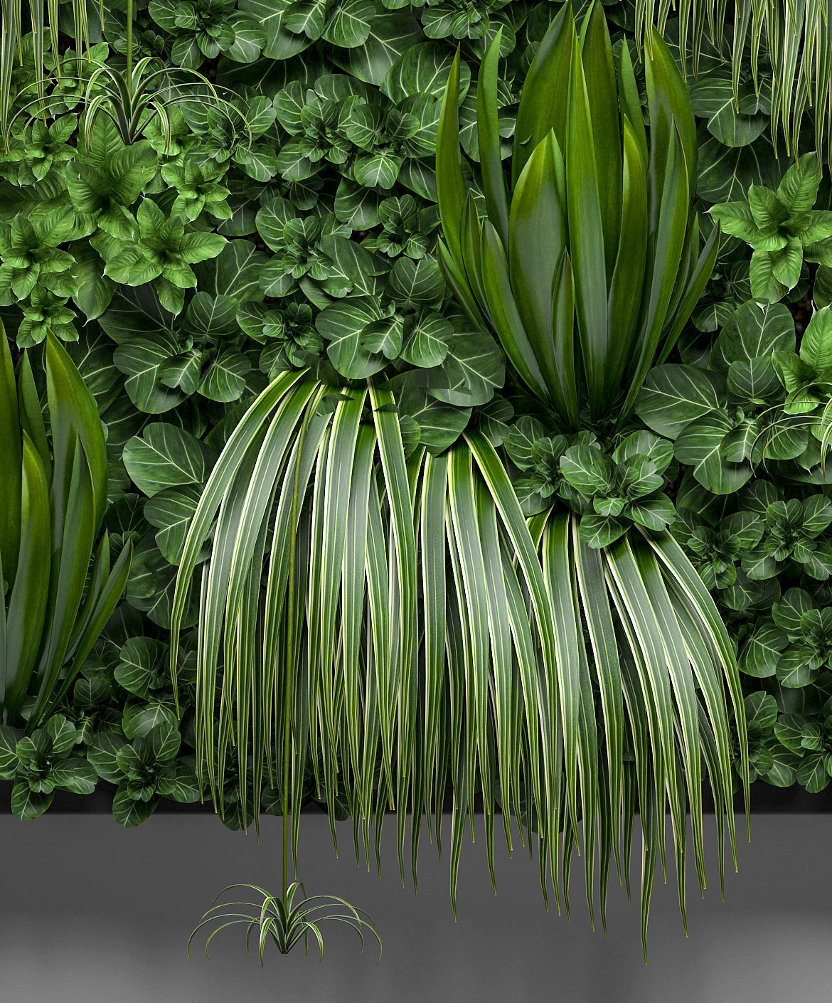 Vertical gardening 3D model_2