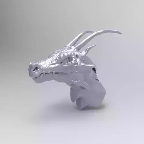DRAGON HEAD