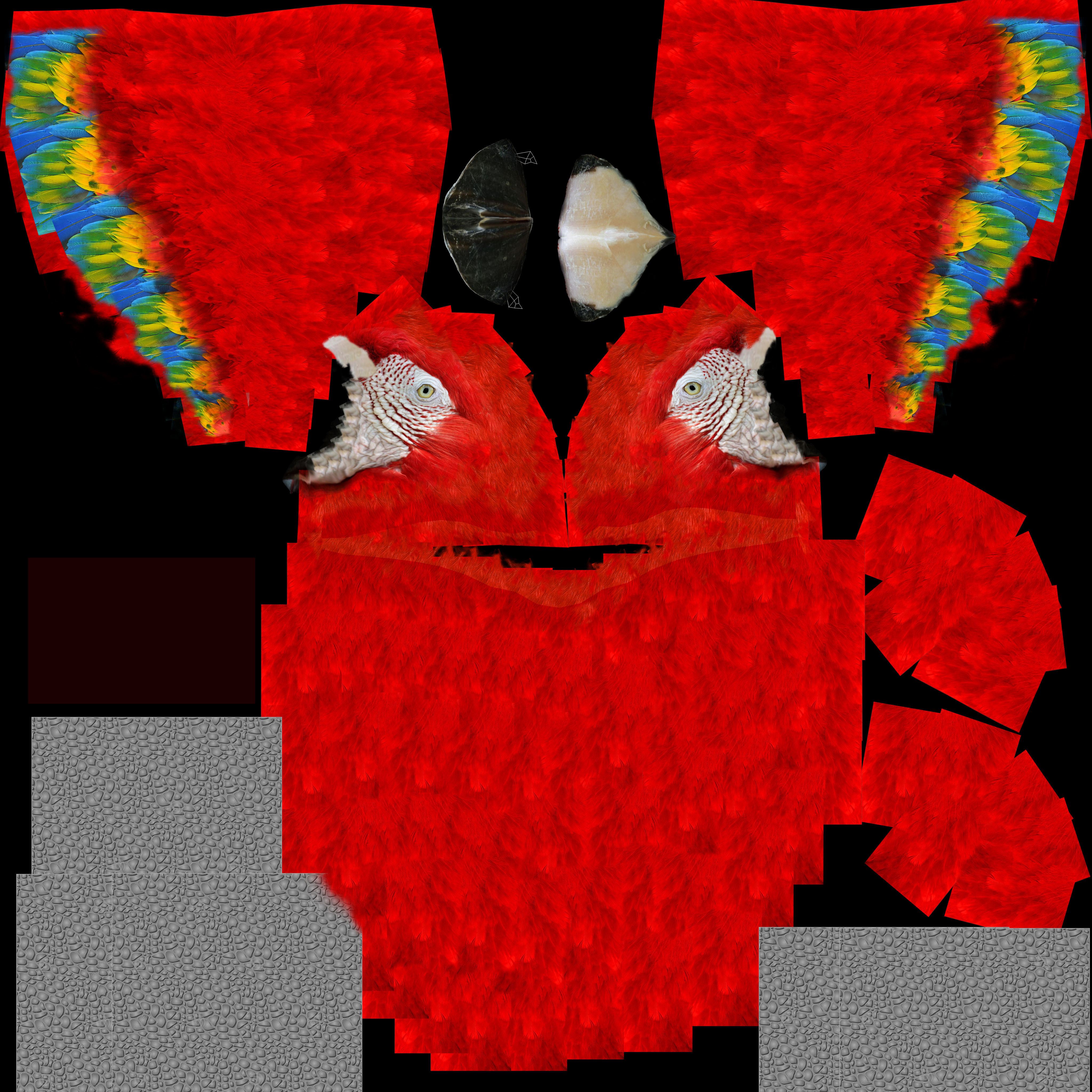 Macaw flying 3D model_38