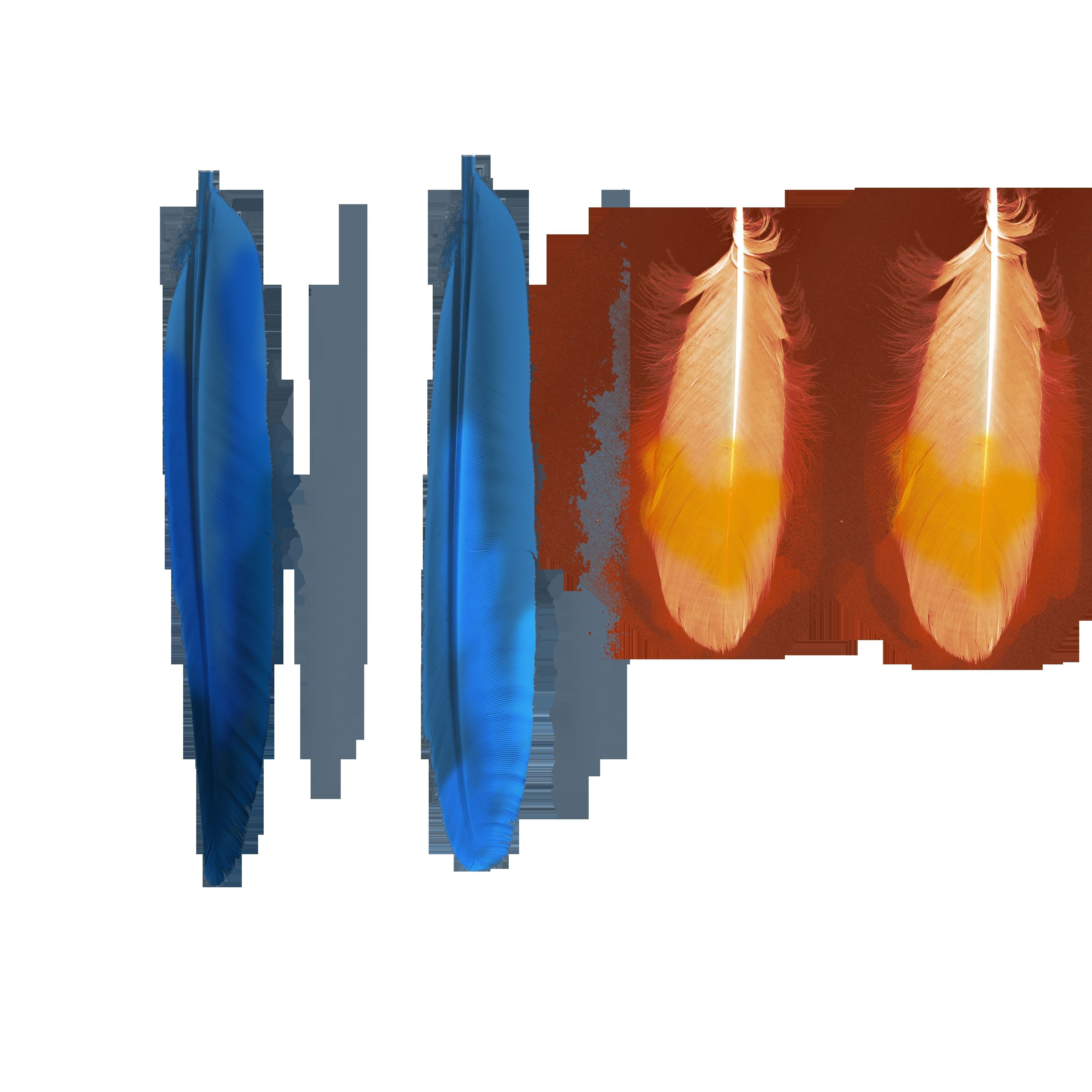 Macaw flying 3D model_37