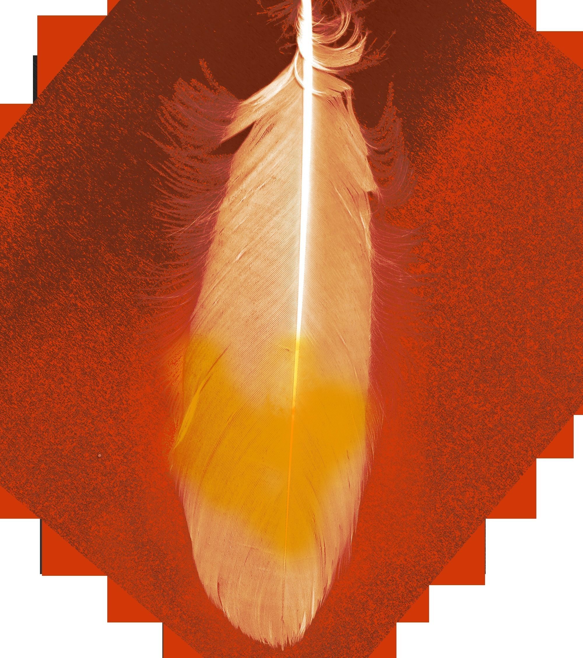 Macaw flying 3D model_36