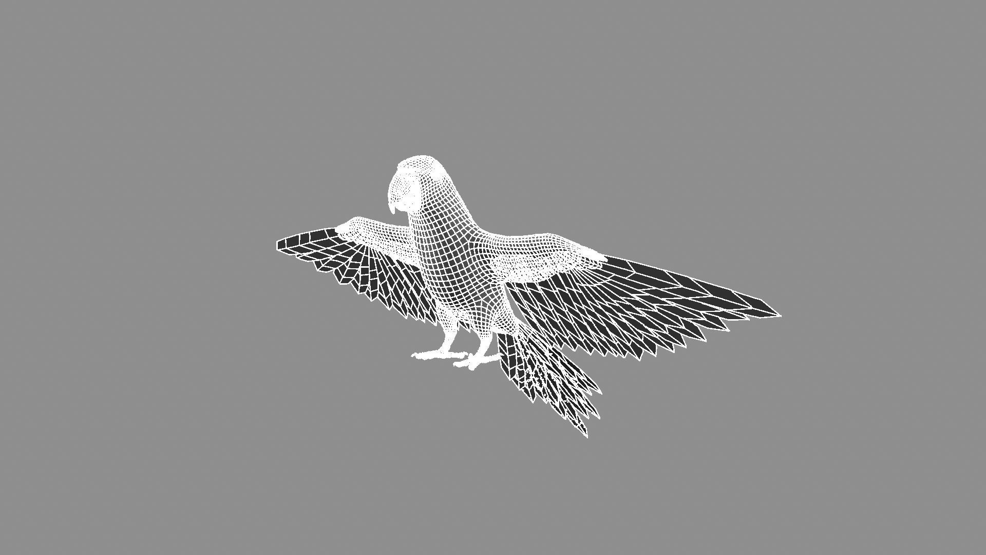 Macaw flying 3D model_17