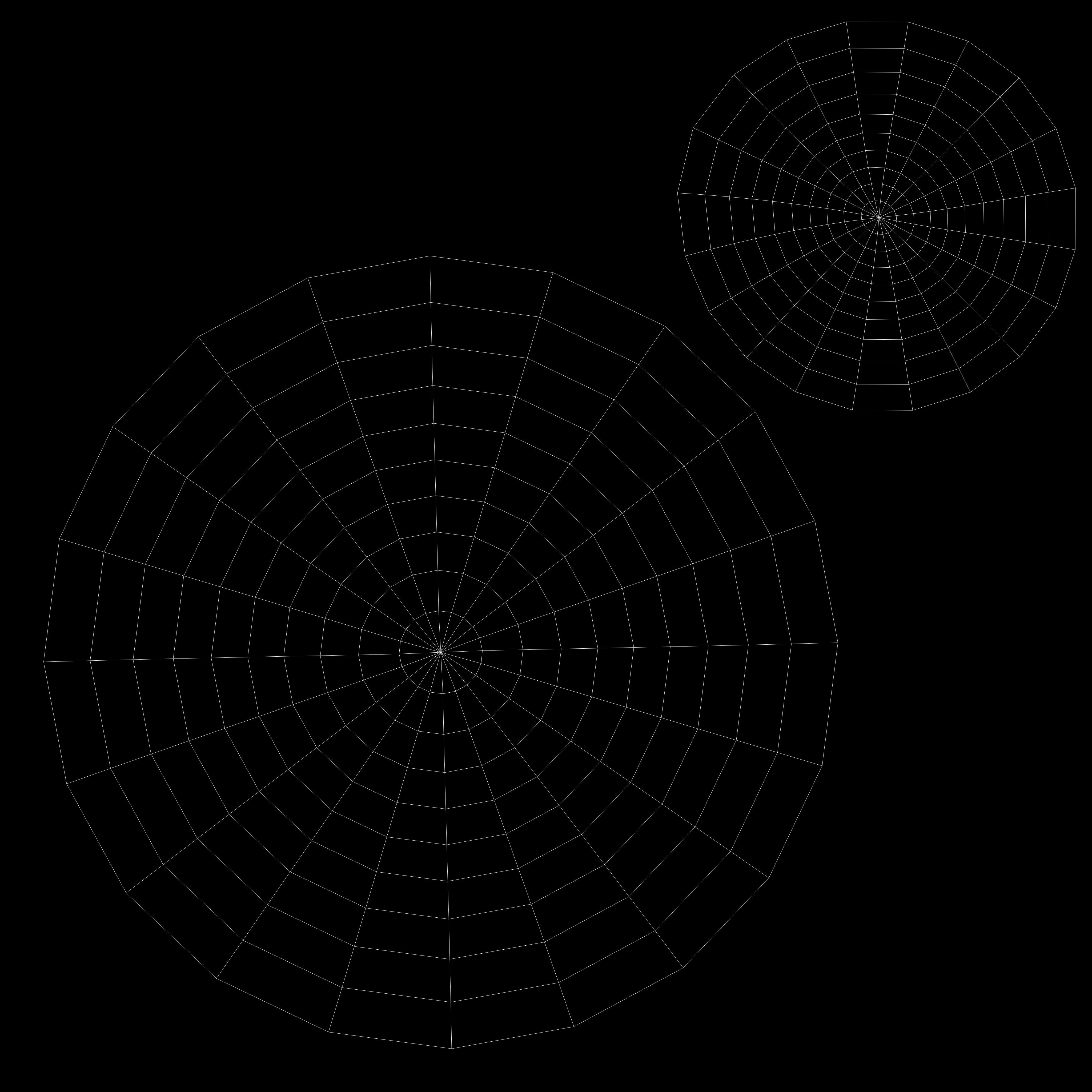 Macaw flying 3D model_22