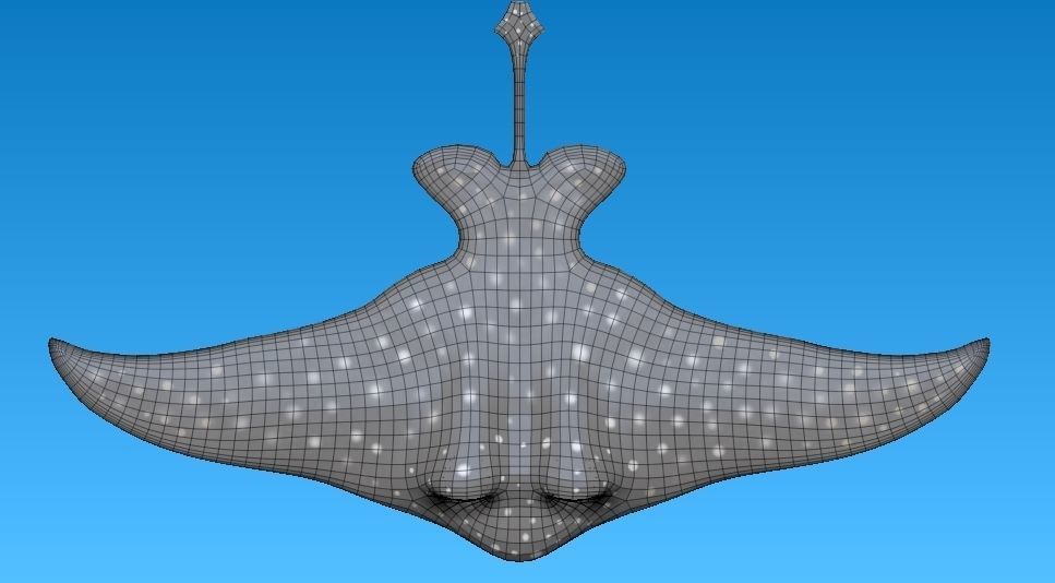 cartoon manta ray Low-poly 3D model_12