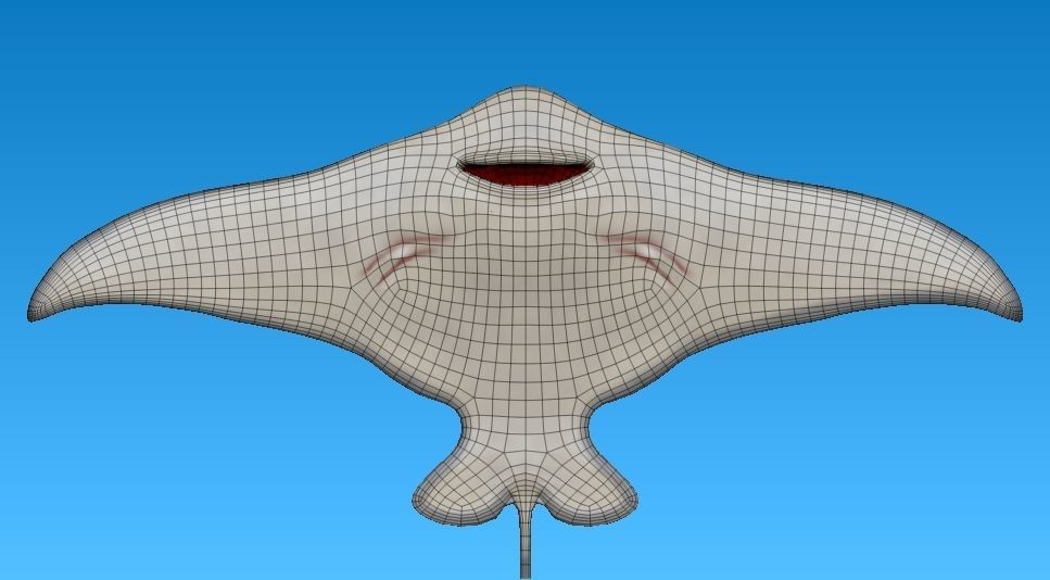 cartoon manta ray Low-poly 3D model_14