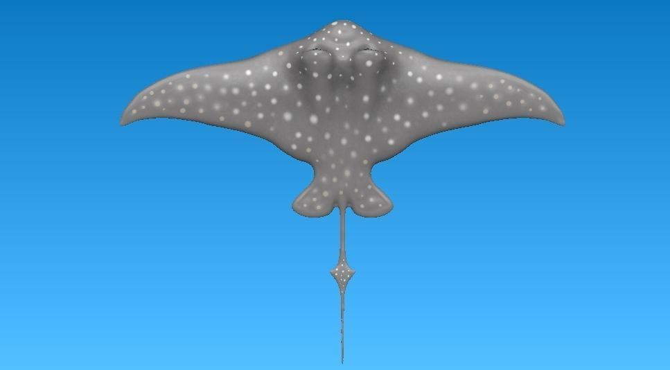 cartoon manta ray Low-poly 3D model_13