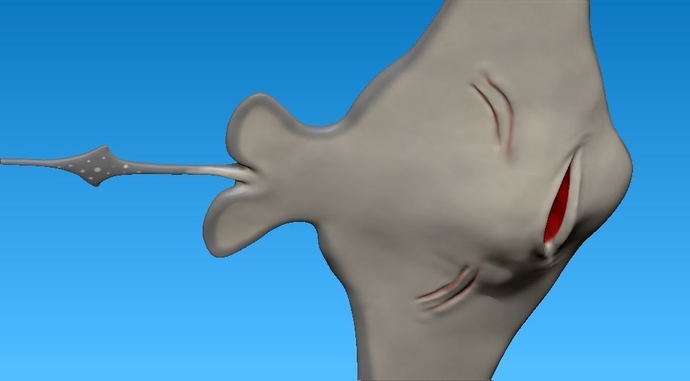 cartoon manta ray Low-poly 3D model_7