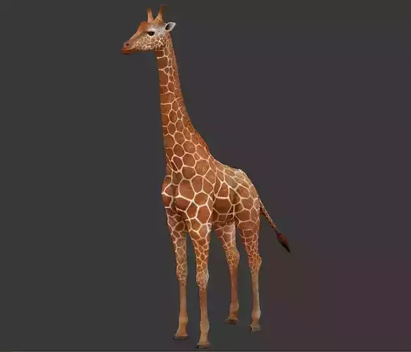 giraffe Low-poly 3D model