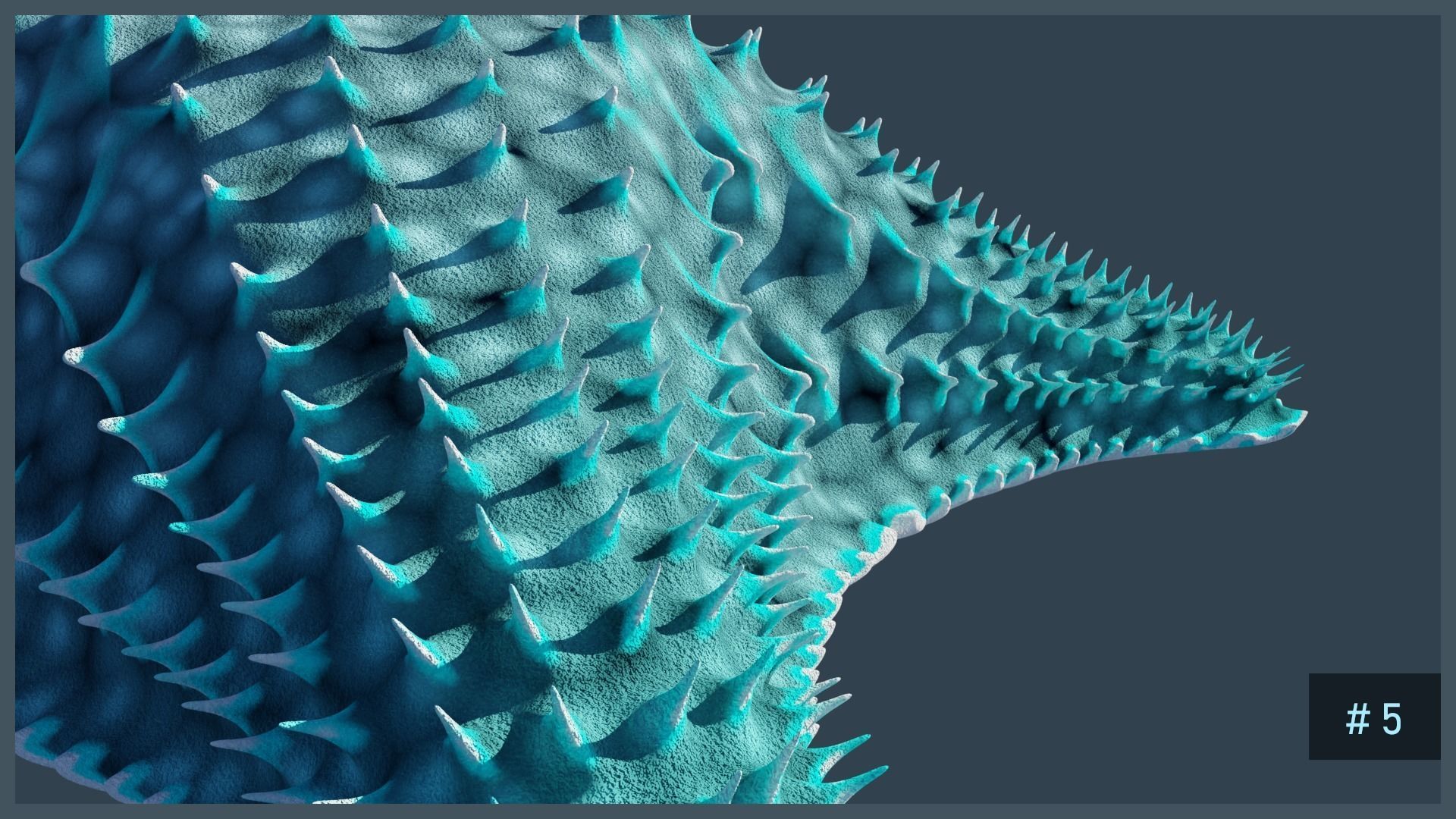 Starfish Variety Pack 1 Low-poly 3D model_8