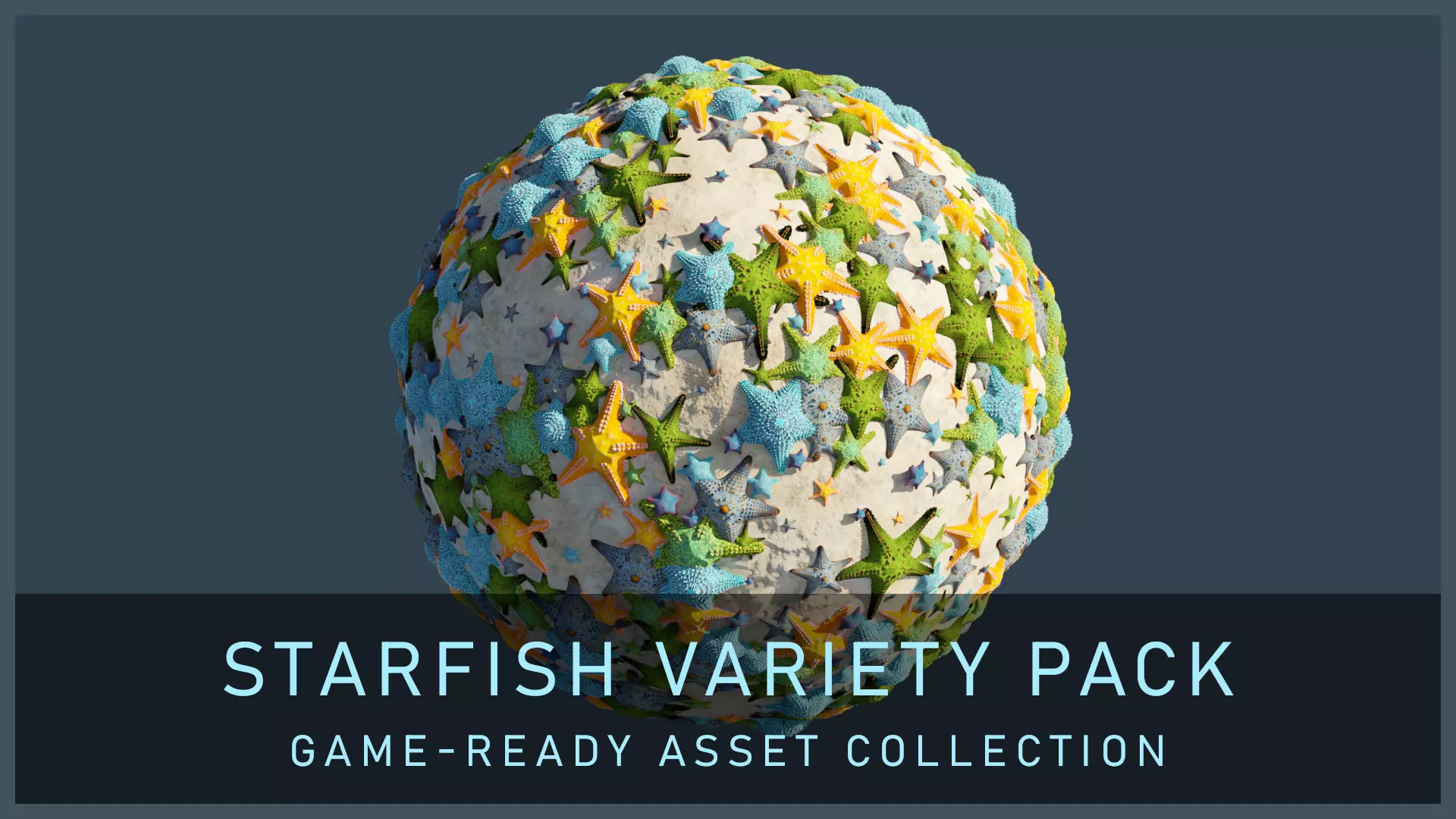 Starfish Variety Pack 1 Low-poly 3D model_0