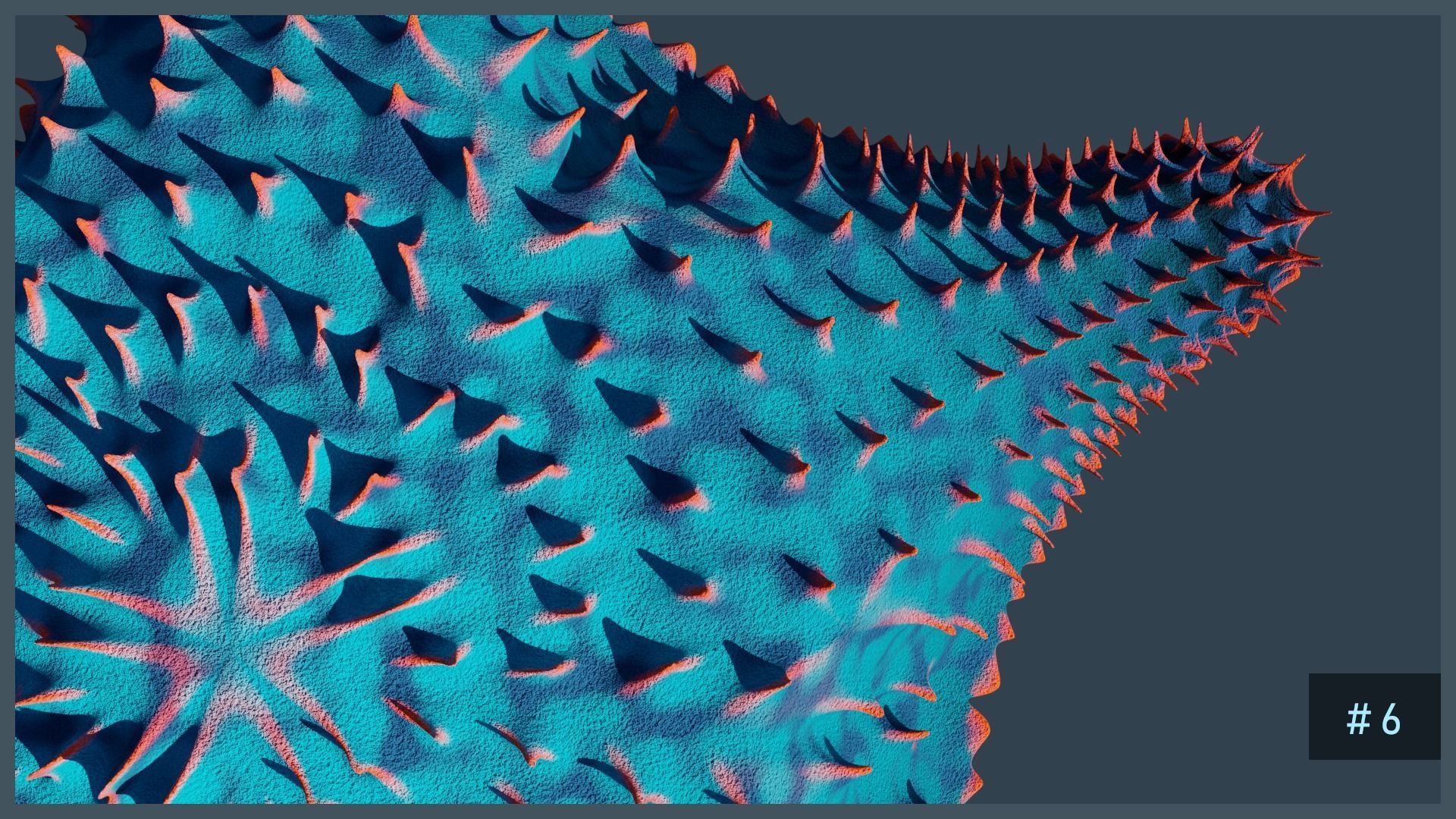 Starfish Variety Pack 1 Low-poly 3D model_10