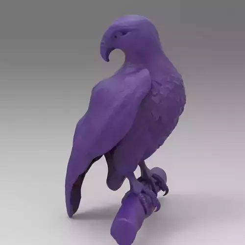 HUNTER FALCON 3D print model
