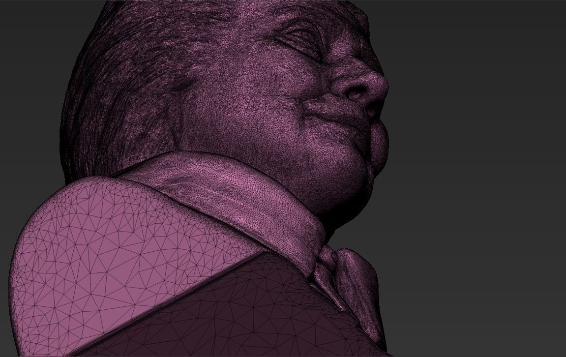 Hillary Clinton bust ready for full color 3D printing 3D print model_54
