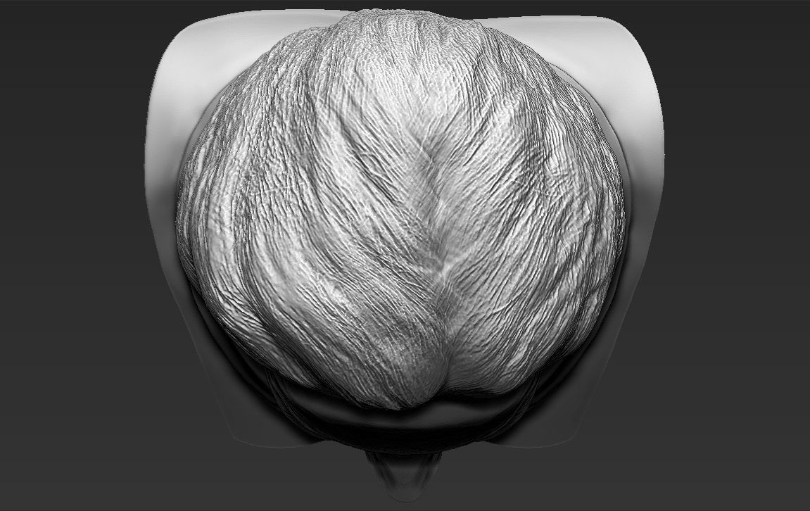 Hillary Clinton bust ready for full color 3D printing 3D print model_50