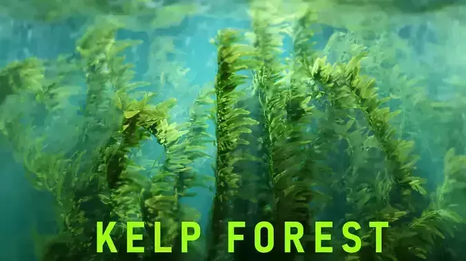 Procedural Kelp Forest Environment 3D model