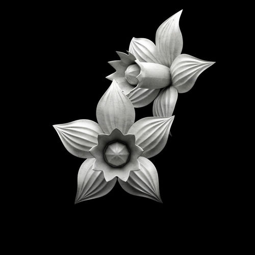 Decor two daffodils 3D model