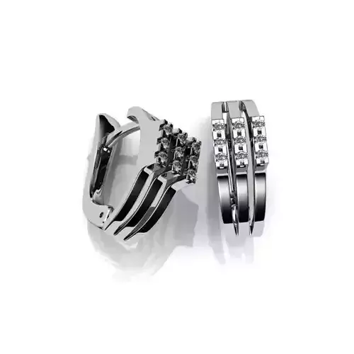 Silver Earrings With Diamonds 6