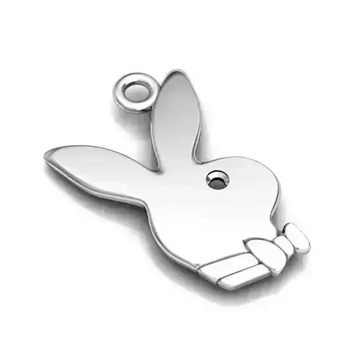 Bunny Shaped Silver Pendant 3D print model