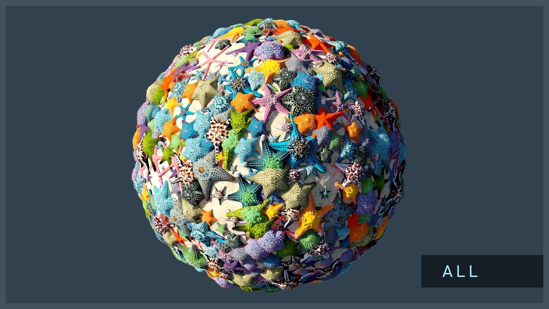 Starfish Mega Pack Low-poly 3D model_6