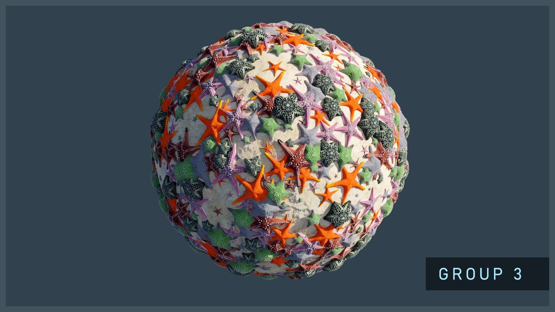 Starfish Mega Pack Low-poly 3D model_12