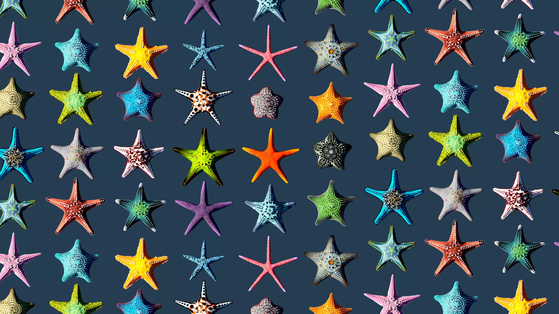 Starfish Mega Pack Low-poly 3D model_0