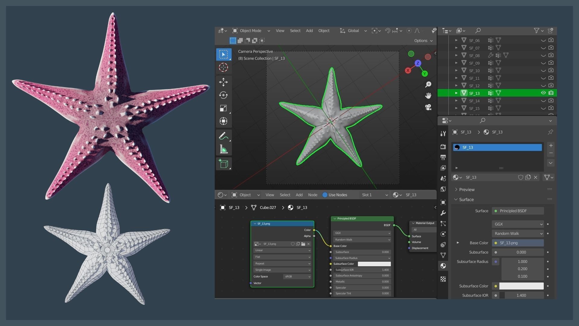 Starfish Mega Pack Low-poly 3D model_16