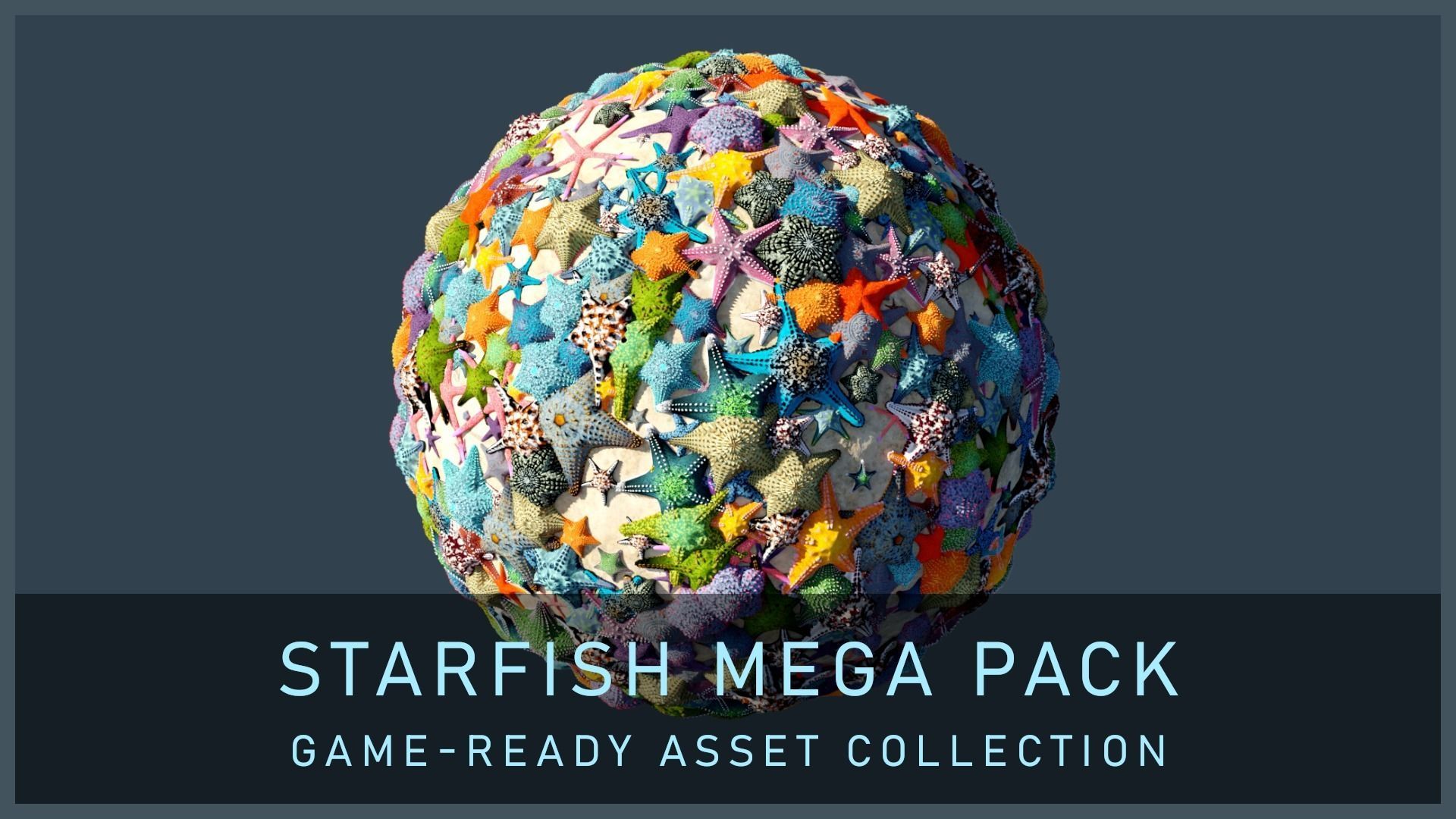 Starfish Mega Pack Low-poly 3D model_1