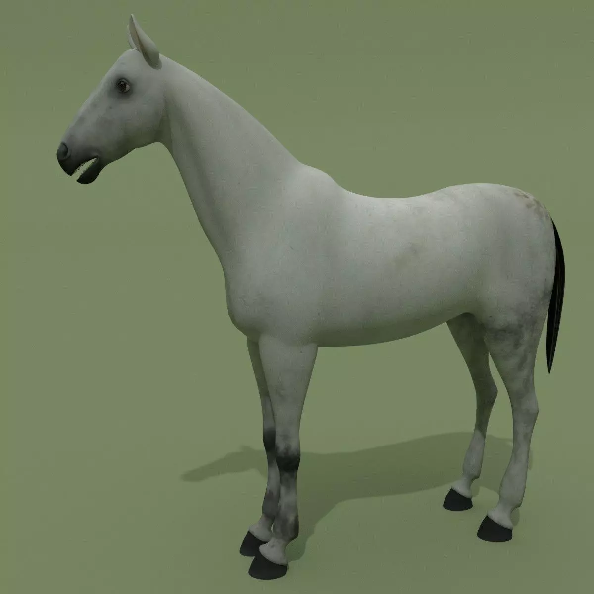 Horse Grey Free 3D model_0