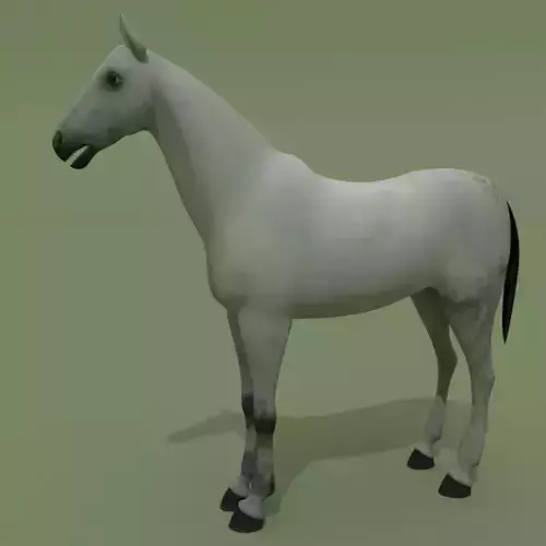 Horse Grey Free 3D model
