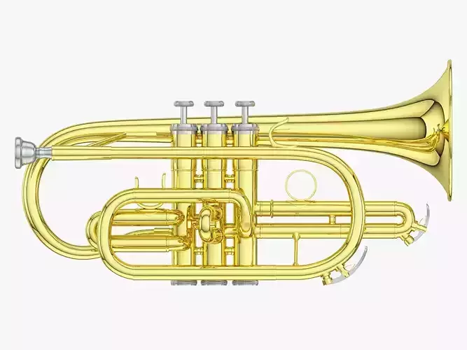 Cornet golden trumpet