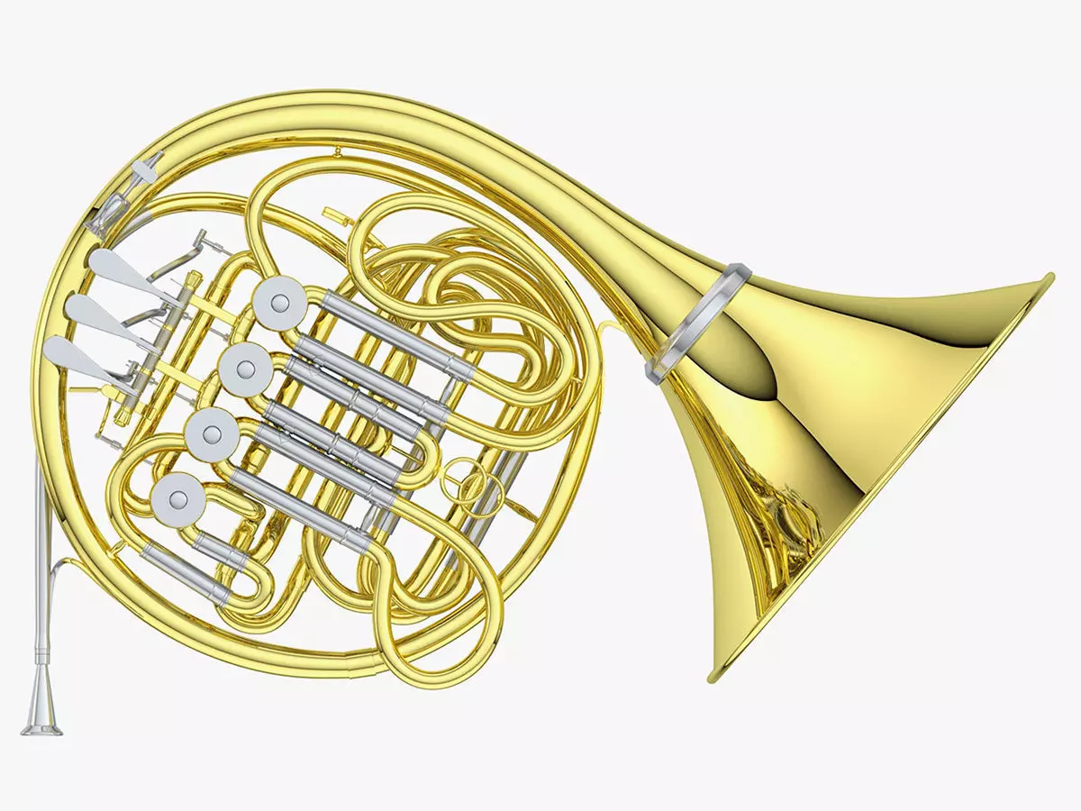 French Horn 3D model_0