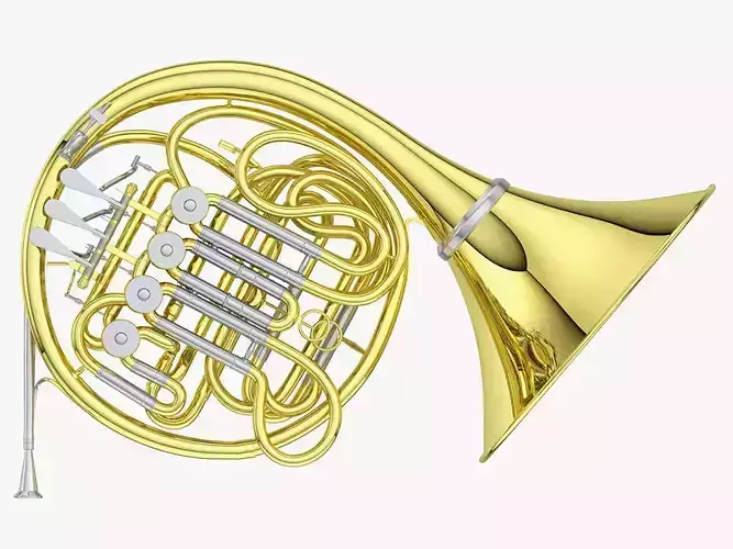 French Horn 3D model