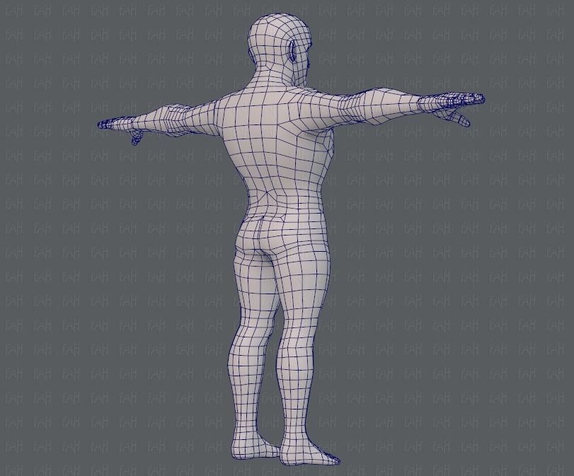Base mesh man character V10 Low-poly 3D model_12
