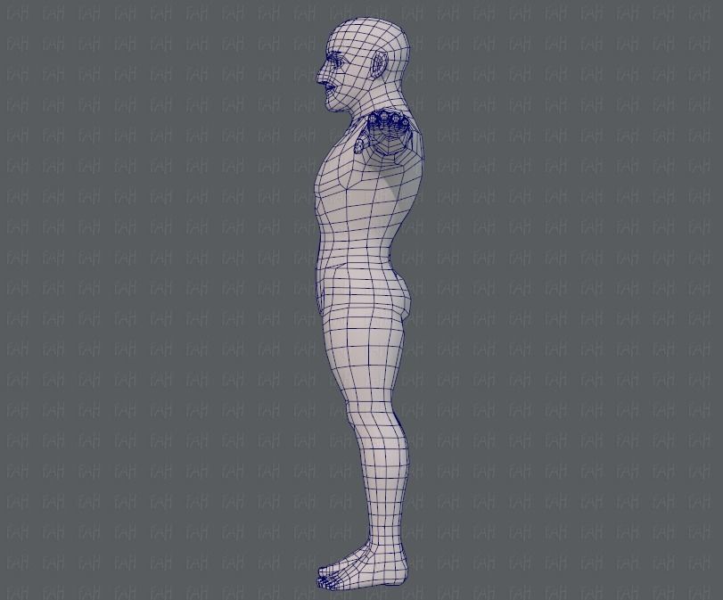 Base mesh man character V10 Low-poly 3D model_15