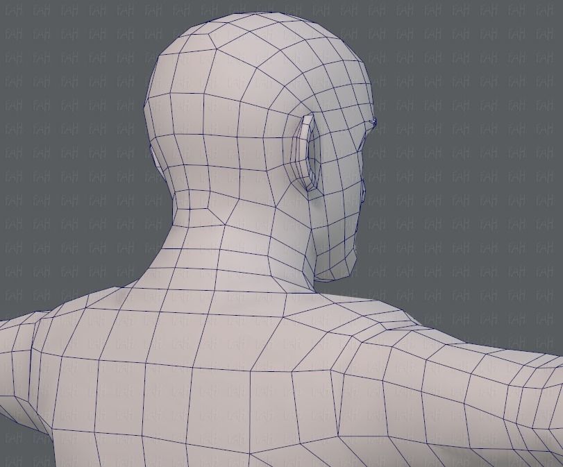 Base mesh man character V10 Low-poly 3D model_28