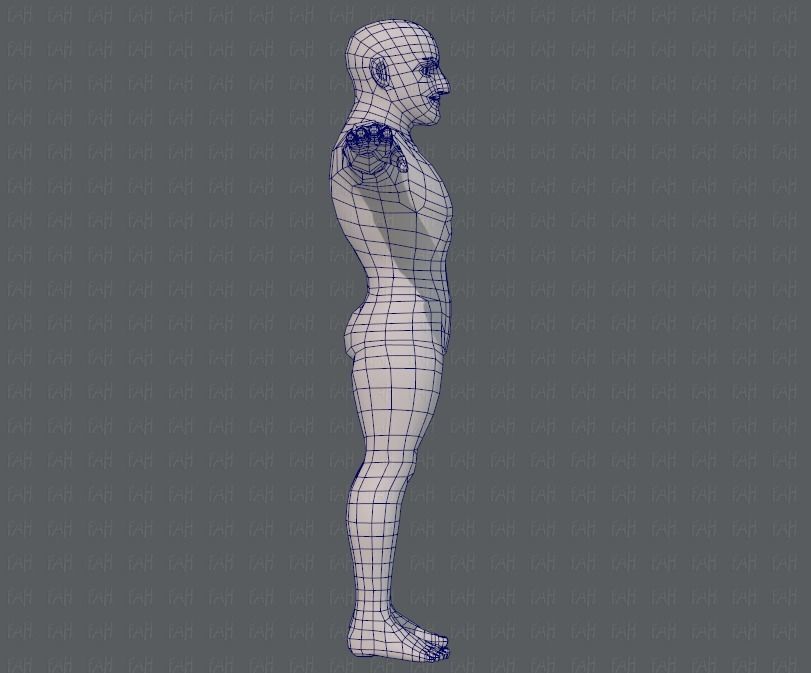 Base mesh man character V10 Low-poly 3D model_11