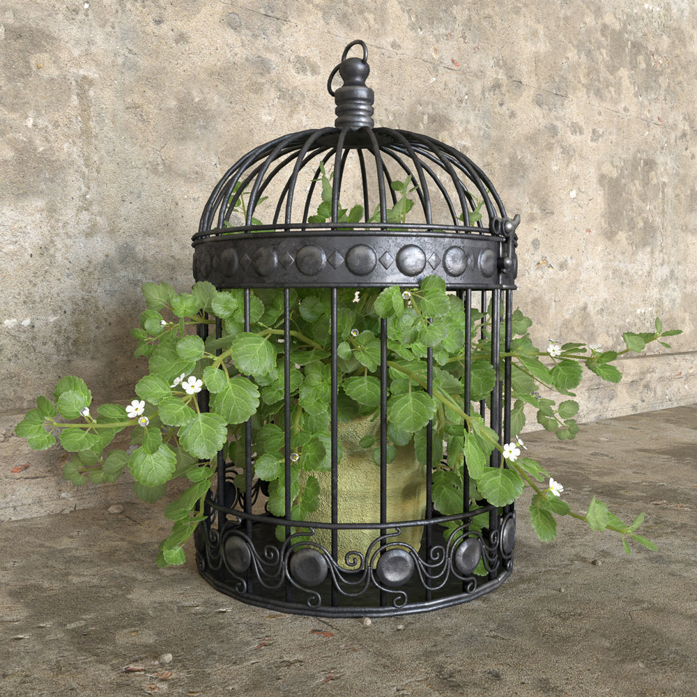 Ivy in a bird cage 3D model_8