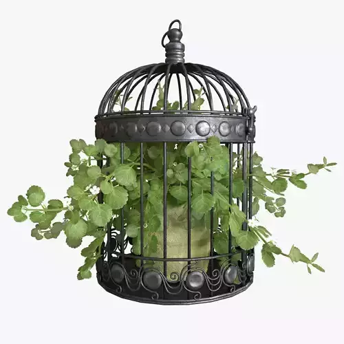 Ivy in a bird cage 3D model
