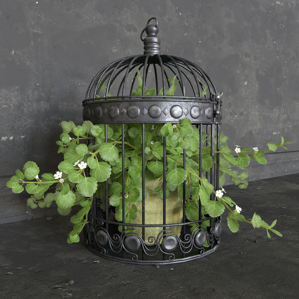 Ivy in a bird cage 3D model_9