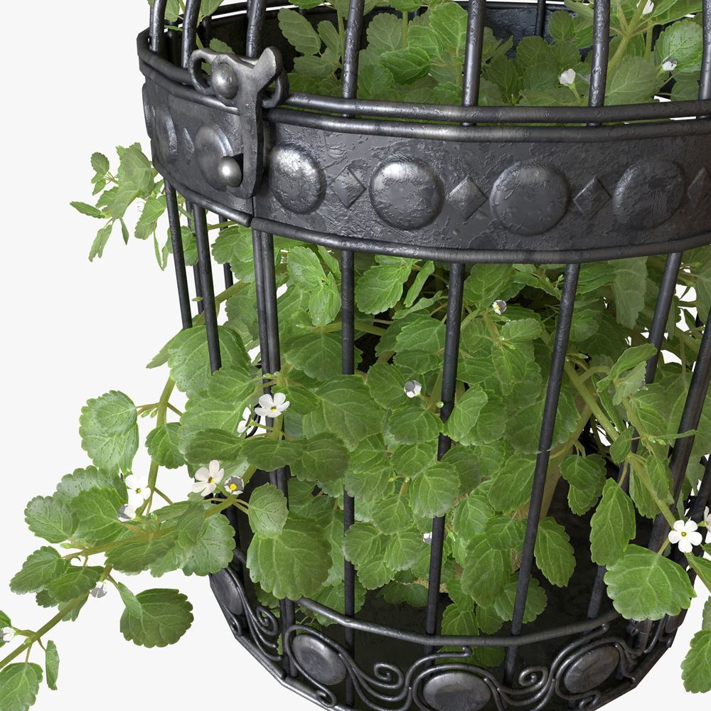 Ivy in a bird cage 3D model_6